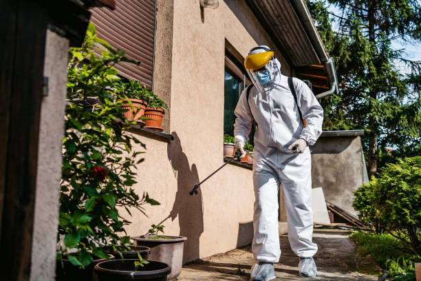 Best Pest Prevention Services  in Sun City Center, FL