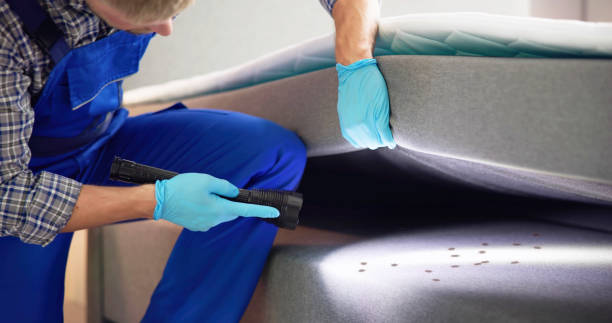 Best Best Pest Control Companies  in Sun City Center, FL
