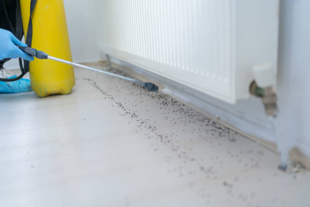 Best Affordable Pest Control Services  in Sun City Center, FL