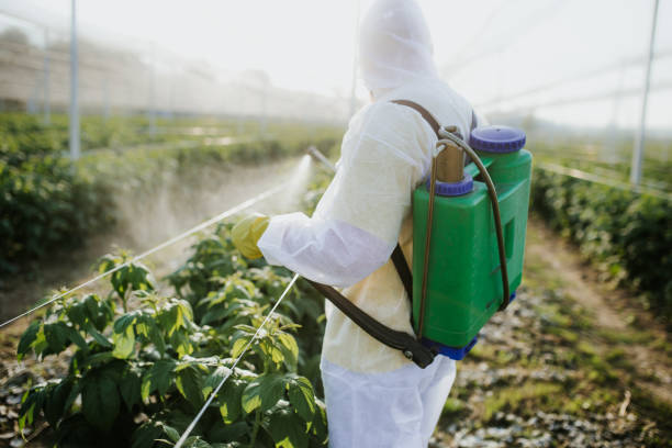 Best Residential Pest Control  in Sun City Center, FL